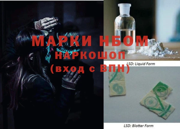 индика Абаза