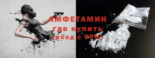 мет Алексин