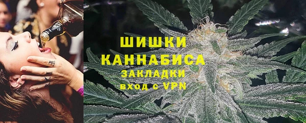 мет Алексин