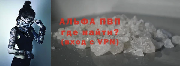индика Абаза