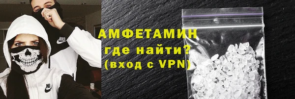 индика Абаза