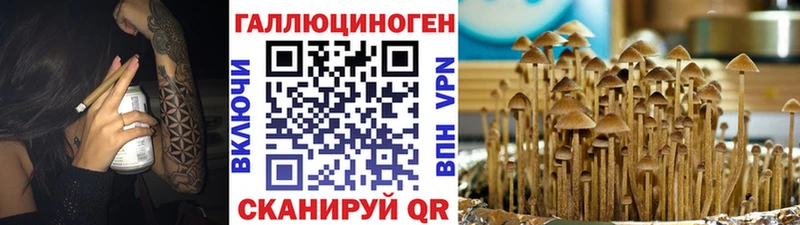 что такое наркотик  Кумертау  darknet Telegram  Псилоцибиновые грибы Psilocybine cubensis 