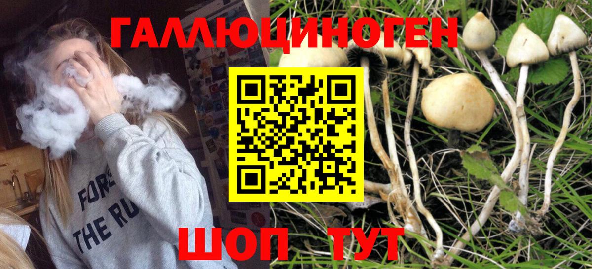 Галлюциногенные грибы Psilocybe Кумертау