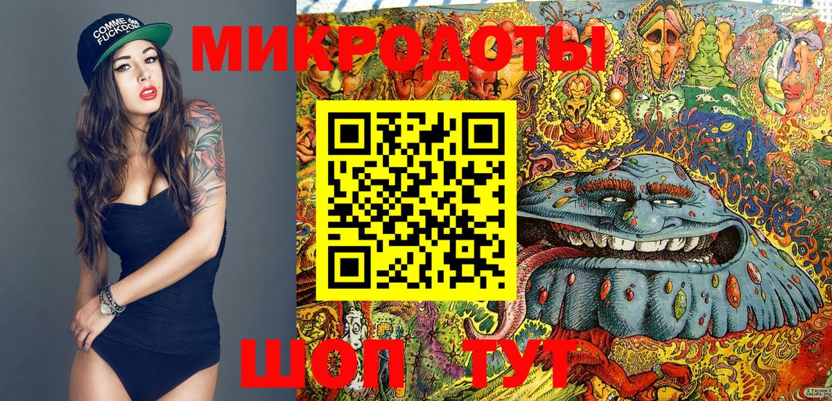Псилоцибиновые грибы Psilocybe  Псилоцибиновые грибы прущие грибы  Вход с VPN  Кумертау 